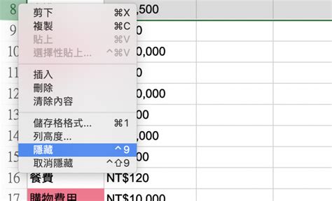 格總|Excel如何加總「篩選過」的數值，不計算隱藏的儲存。